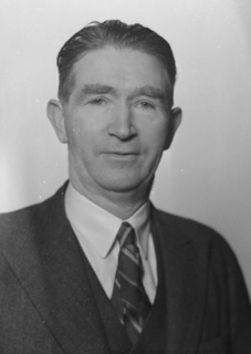 1956 Dunedin mayoral election