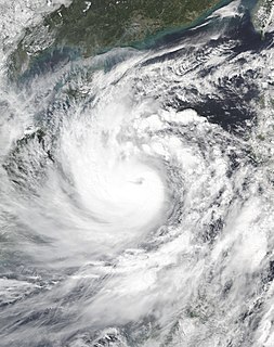 Typhoon Molave Pacific typhoon in 2020