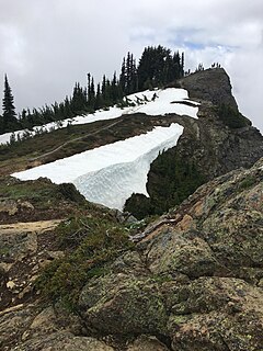 Mount Dickerman Mountain in Washington (state), United States