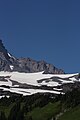 Muir Snowfield