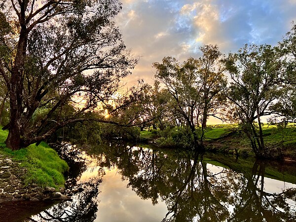 Murray River in Pinjarra, Western Australia in June 2022