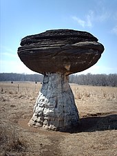 Mushroom Rock Mushroomsp.JPG