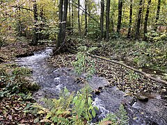 Hasper Bach mit Schotterinsel