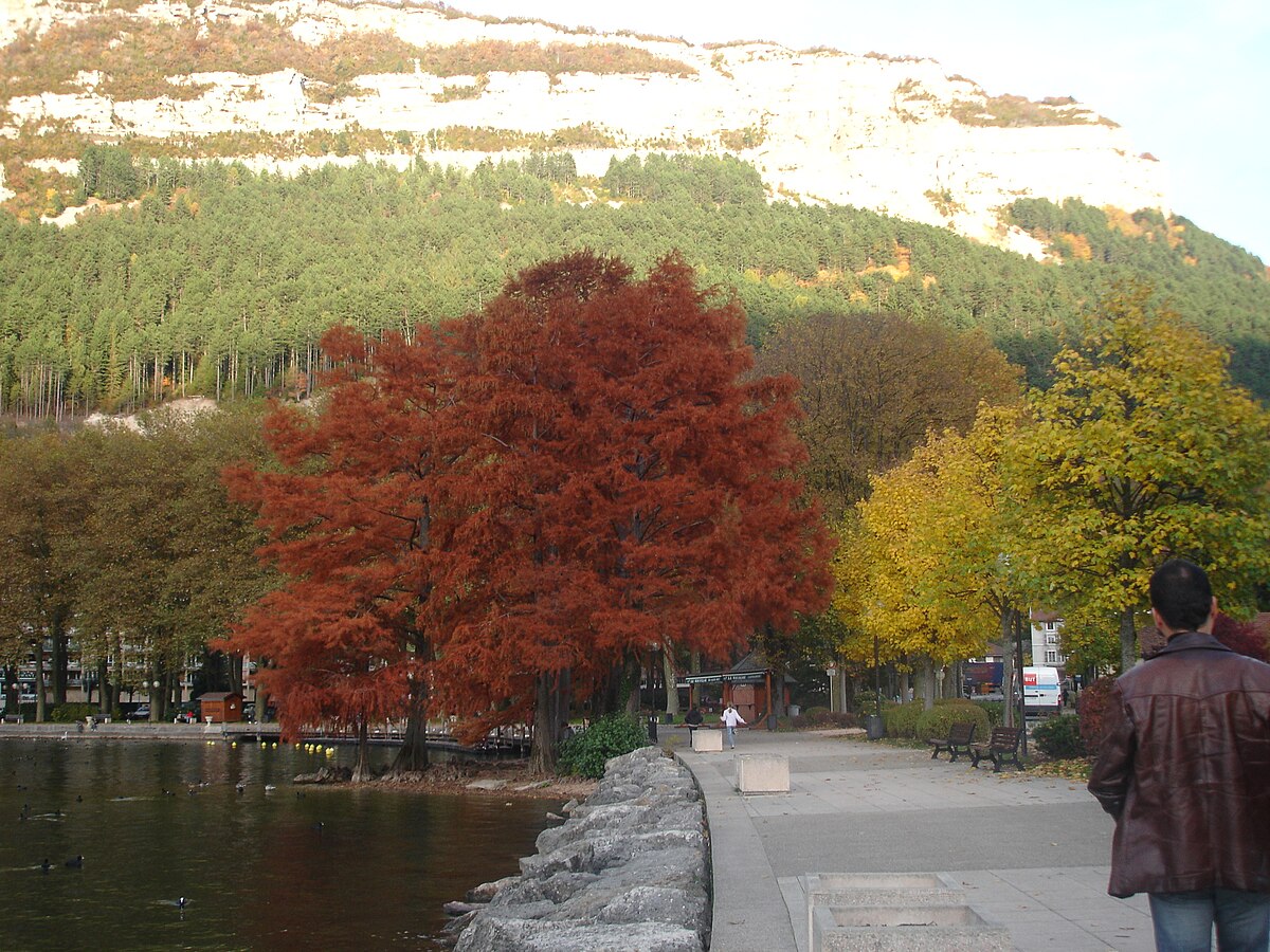 Chemin du Lac Meech