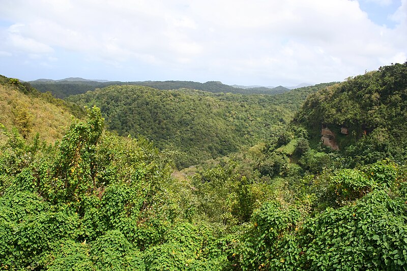 File:Near Anse la Raye.jpg