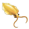 内克虾（英语：Nectocaris） Nectocaris，具有漏斗管以及两根触手的软体动物