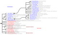 Мініатюра для версії від 08:38, 26 січня 2011