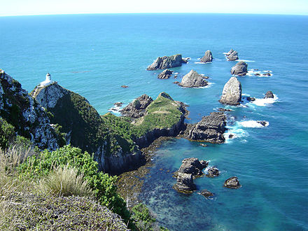 Nugget Point and the Nuggets