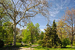 Vignette pour Jardin botanique d'Odessa