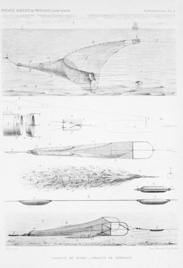 Nets for trawling in surface waters and for trawling in deep water and over the bottom. Note the "tangles" with ensnared marine life