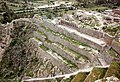 Terrassas multiplas d'Ollantaytambo.