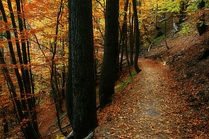 Olimpo: Geografía, Clima, Flora