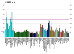 PBB GE RNF7 218286 s bei fs.png