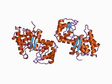 PDB 1chk EBI.jpg