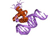 PDB 1lfu EBI.jpg