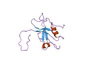 PDB 1wh1 EBI.jpg