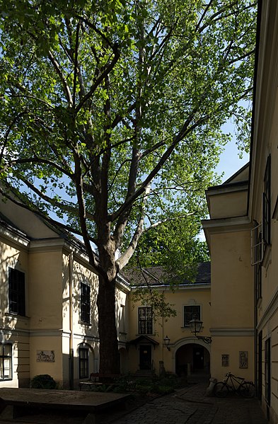 File:Palais Schönborn Volkskundemuseum Wien 2018 Hof 1.jpg