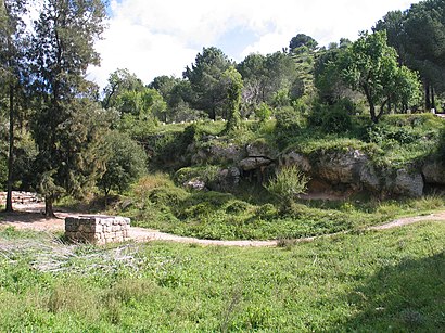 How to get to פארק קנדה with public transit - About the place