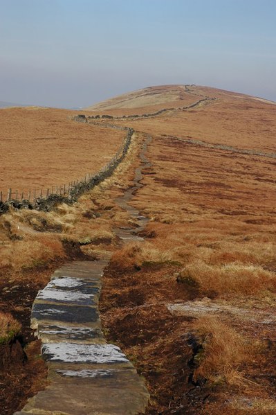 File:Paved path to Cats Tor - geograph.org.uk - 696105.jpg