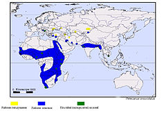 Pelecanus onocrotalus map.jpg
