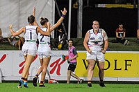 Perkins celebrating a goal in the round 6, 2017 match against Melbourne. Perkins celebrating goal.jpg