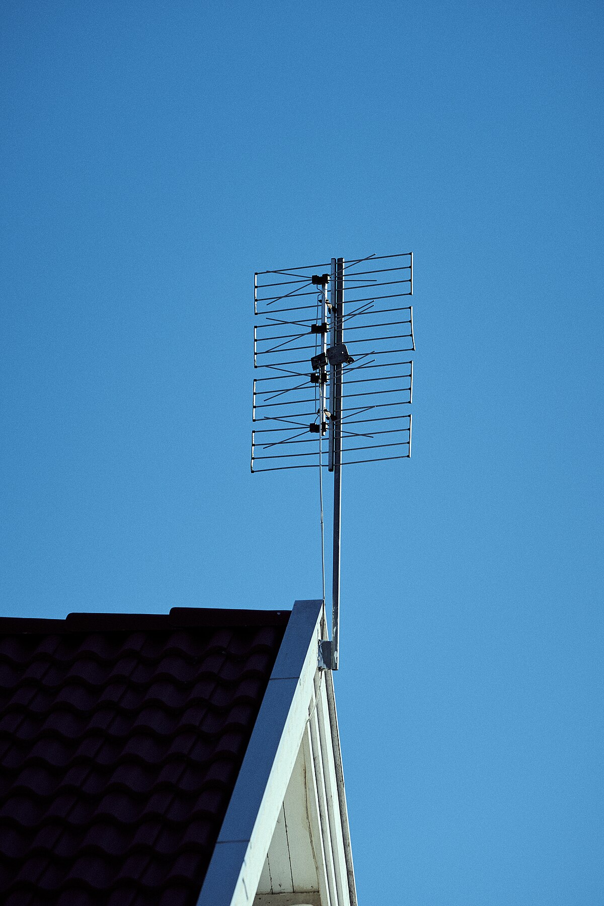 Antenne – Wiktionary
