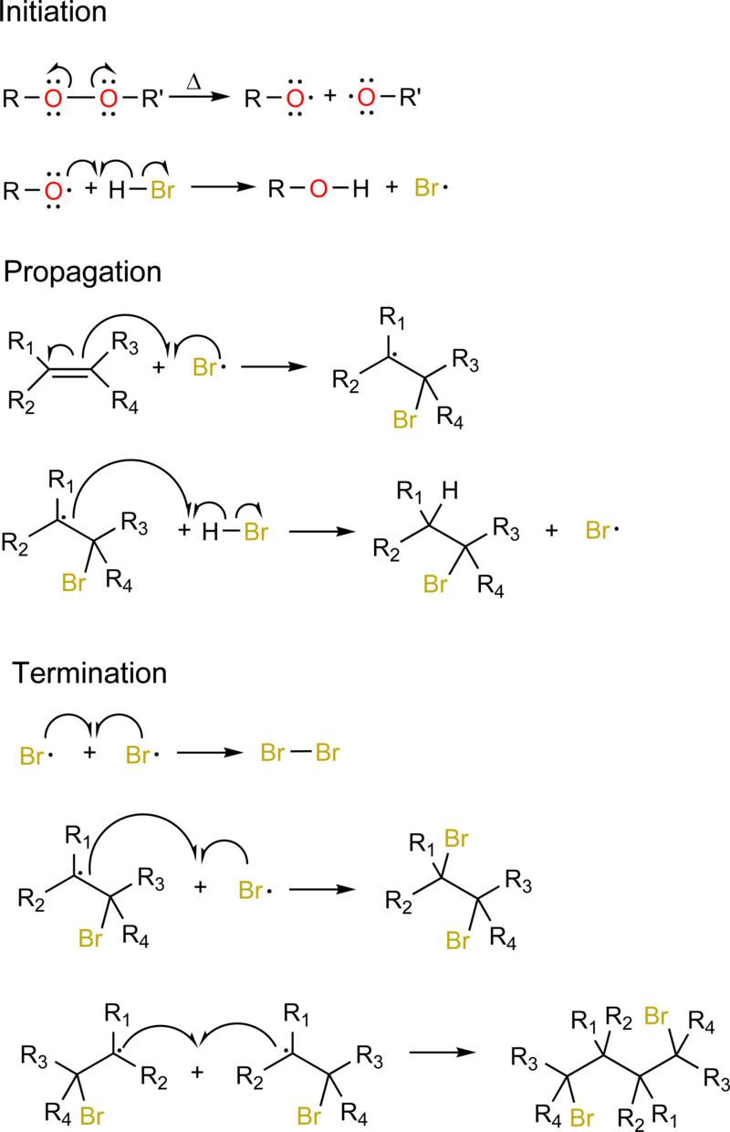 Addition radicalaire et hydrogénation catalytique 800px-Peroxide_Free-radical-addition