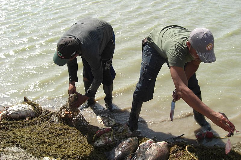 File:Pescadores de Apure.JPG