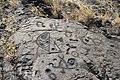 Petroglyphs at Pu'uloa in Hawai'i Volcanoes National Park (a053f199-6686-4b71-93fb-85a47aaa76c1).JPG