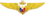 Значок авиатора ВМС Филиппин.png