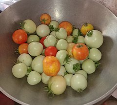 Homegrown multicolored tomatoes