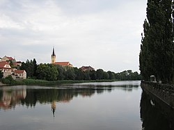 Podměstský rybník v Čáslavi