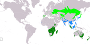 Aire de répartition de la Marouette de Baillon