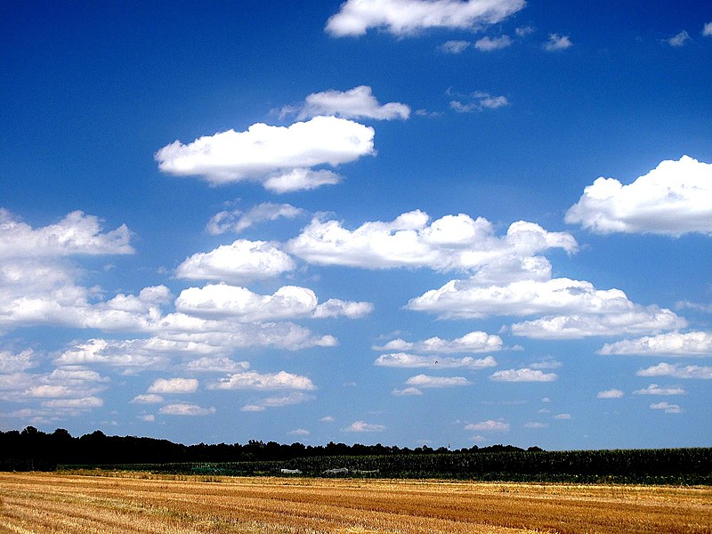 File:Prekmurje-odransko-polje-a-2012-07-07-PV.JPG