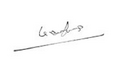 President Truong Tan Sang signature.png
