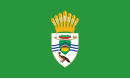 Padrão Presidencial da Guiana (Presidente David Granger).svg