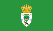 Presidentieel standaard van Guyana (2015-2020) onder President David A. Granger