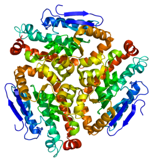 CDY1 Protein-coding gene in the species Homo sapiens