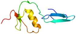 Ақуыз FSTL3 PDB 2KCX.png