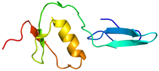 <span class="mw-page-title-main">FSTL3</span> Protein-coding gene in the species Homo sapiens