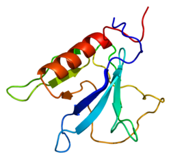 Proteini OSBPL8 PDB 1v88.png