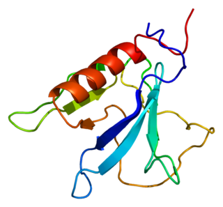 <span class="mw-page-title-main">OSBPL8</span> Protein-coding gene in the species Homo sapiens