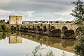 スペイン、コルドバのローマ時代紀元前1世紀に建造された石橋「コルドバのローマ橋 en:Roman bridge of Córdoba」。