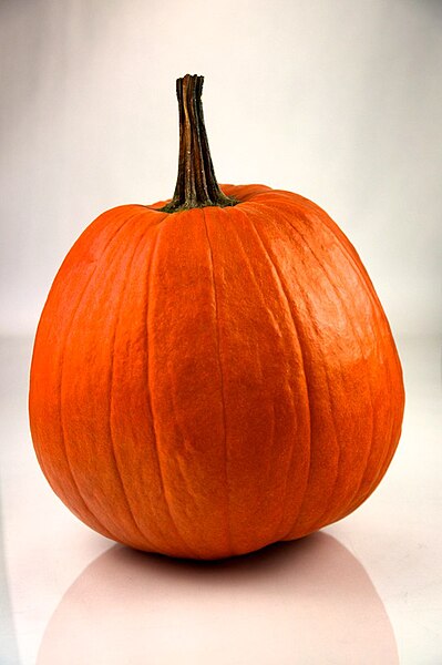 File:Pumpkin 252 - Evan Swigart.jpg