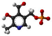 Pyridoxal-phosphate-3D-balls.png