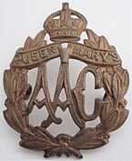 Odznak čepice armádního pomocného sboru královny Marie (1918) .jpg