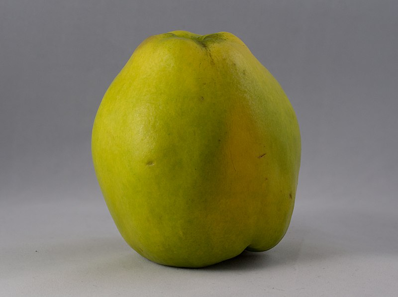 File:Quince (10889s).jpg