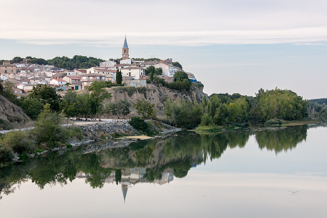 Río Aragón