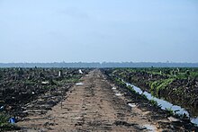 Deforestation in Riau province, Sumatra, to make way for an oil palm plantation (2007). Riau palm oil 2007.jpg