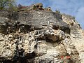 Rock formations near Krivnya